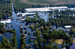 Editorial: Why Cities Need Mobile Env...